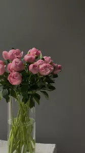 РАБОТА ДЛЯ ДЕВУШЕК МОСКВА И ОБЛАСТЬ