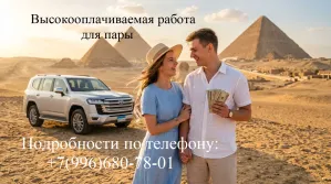 Ищем пару для продвижения на топовых площадках