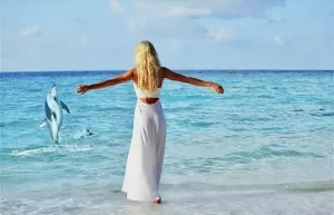 Человеческое отношение! Честные условия!