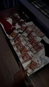 Работа для девушек с охраной , у нас безопасно