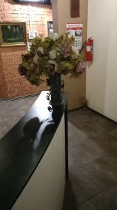 Ищу Масажисток требуется професионалы своего дела