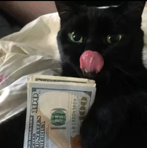 РАБОТА ДЛЯ МОЛОДЫХ ДЕВУШЕК В МОСКВЕ ✅