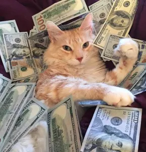 Работа для тебя