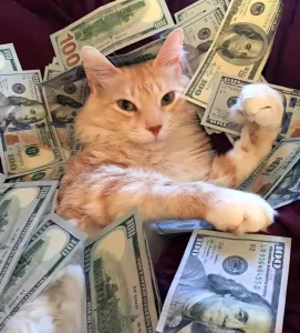 Работа для тебя